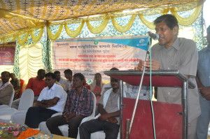 csr-hat at chuiya (3)