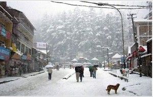 Manali Snow