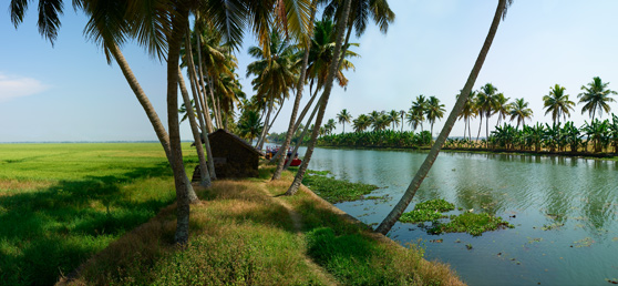 Kumrkm in Kerala