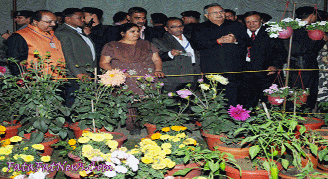 DR Raman Singh In Exhibition