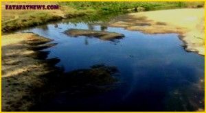 CHIRMIRI BLACK WATER