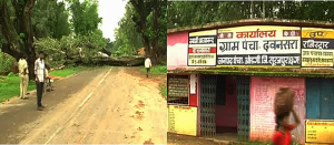 Route disrupted by falling tree