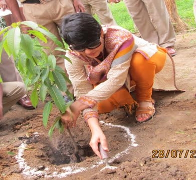 collector surguja ritu sen,ambikapur