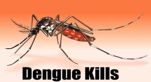 dengue-fever-signs-precaution