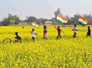 National Flag INDIA