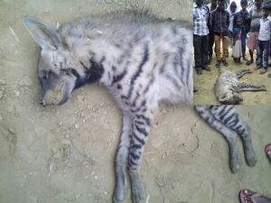 PicsArt_1414335672690