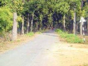 bastar-rail-line-oo_2015224_101549_23_02_2015