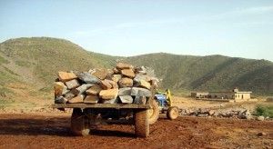 surguja forest mafia