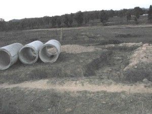 PicsArt_12-01-07.08.49