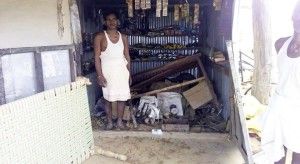 elephant violence in surguja