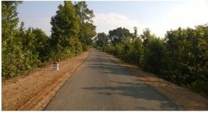 Dhanwar-Mtrenga road