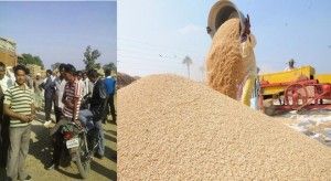 Paddy procurement in cg