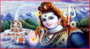 Shiv