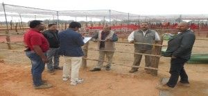 cm raman singh in surajpur