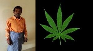 ganja surajpur bhatgaon