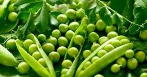 green peas