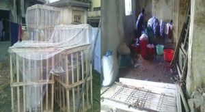 dist hospital ambikapur