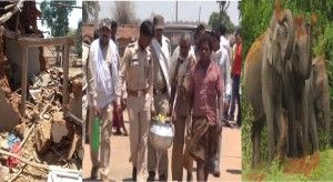 1330e23b-3292-469a-bb6c-f1fb7d513738