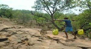 256304fd-ffc0-40c0-a57e-dd06fbe94ea1