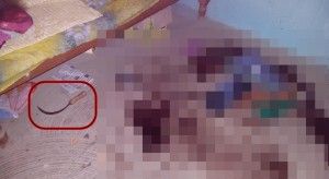 3493af9f-d411-4368-baca-a01d1107e113