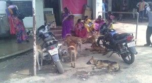 26bdf1dc-859c-428a-8cac-1e12e9f45a52