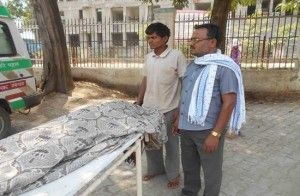 ee56b386-2cde-431e-9c97-8feaf5778741