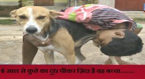 boy-drink-bitch-milk