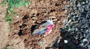 ef381d25-edaf-4f1c-b187-d4ebad94a4cc