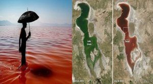Urmia-lake-turns-into-blood-lake1
