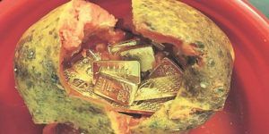 gold-papaya-found-in-delhi