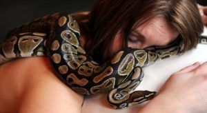 woman-sleeping-with-python