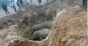 picsart_01-02-09-42-49