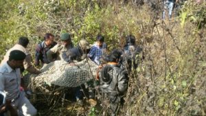 indian leopard manendragarh, surgguja cg