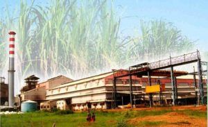 SugarFactory-541x330