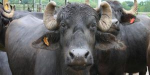 7b880b73-00a0-4d6a-89e9-601db5704428