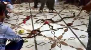 Screenshot_2017-07-28-16-17-42-924_com.google.android.youtube