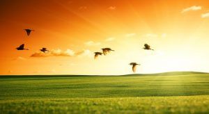 independence-day-67a (1)