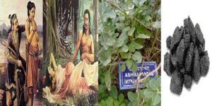 these-proven-tips-to-get-your-lost-energy-back