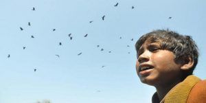 9year-old-ragpicker-is-in-demand-during-pitru-paksha-cover