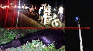 IMG-20170919-WA0011 (1)