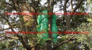 New Project 003_0002