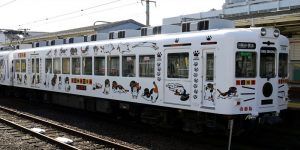 special-train-runs-for-the-cats-at-this-place
