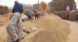 dhan-khareed-kendra-2-660x445