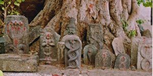 this-man-still-survives-after-bitten-by-a-cobra-48-times