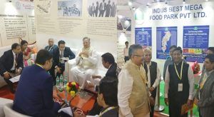 A43FB2A564CC32E4D16D06A1C817BF7B