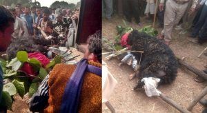 IMG-20171111-WA0020 (1)