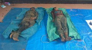 WhatsApp_Image_2017-11-17_at_17.13.57__1_