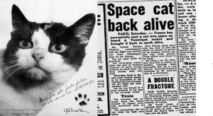 this-cat-once-traveled-to-space-and-now-a-statue-to-be-built-in-france-2