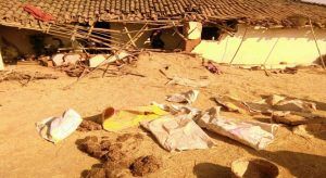 elephant, rajpur, balrampur, cg forest