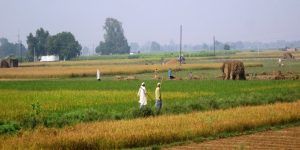 Police-acknowledged-people-for-managing-a-crime-free-area-for-an-year